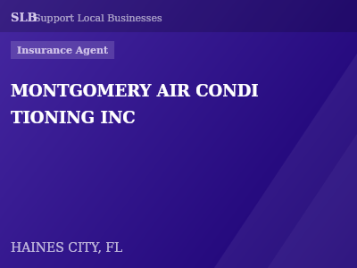 MONTGOMERY AIR CONDI TIONING INC — Insurance Agent in HAINES CITY, FL