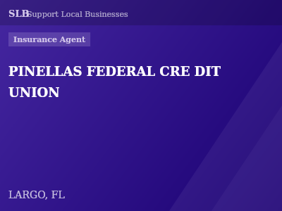 PINELLAS FEDERAL CRE DIT UNION — Insurance Agent in LARGO, FL