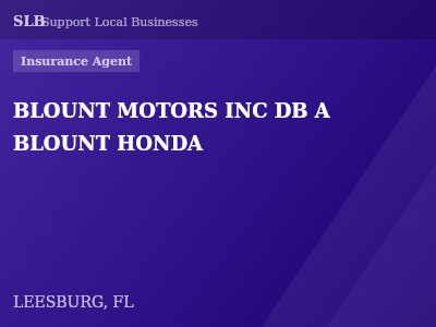 BLOUNT MOTORS INC DB A BLOUNT HONDA — Insurance Agent in LEESBURG, FL