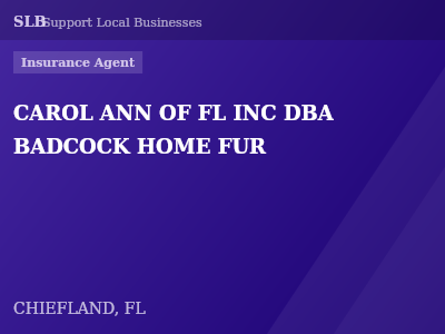 CAROL ANN OF FL INC DBA BADCOCK HOME FUR — Insurance Agent in CHIEFLAND, FL