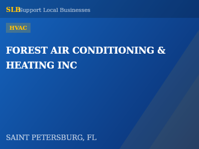FOREST AIR CONDITIONING & HEATING INC — HVAC in SAINT PETERSBURG, FL