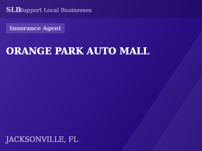 ORANGE PARK AUTO MALL — Insurance Agent in JACKSONVILLE, FL