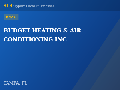BUDGET HEATING & AIR CONDITIONING INC — HVAC in TAMPA, FL