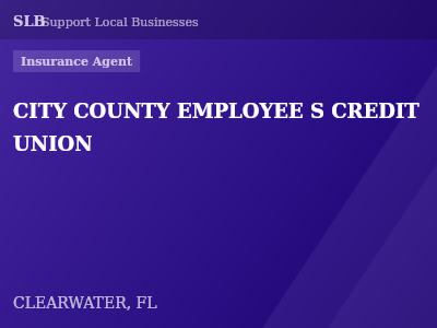 CITY COUNTY EMPLOYEE S CREDIT UNION — Insurance Agent in CLEARWATER, FL