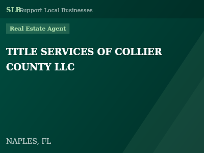 TITLE SERVICES OF COLLIER COUNTY LLC — Real Estate Agent in NAPLES, FL