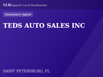 TEDS AUTO SALES INC — Insurance Agent in SAINT PETERSBURG, FL