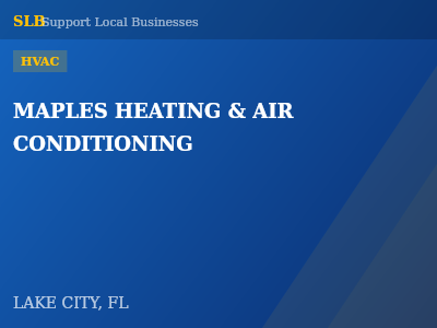 MAPLES HEATING & AIR CONDITIONING — HVAC in LAKE CITY, FL