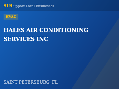 HALES AIR CONDITIONING SERVICES INC — HVAC in SAINT PETERSBURG, FL