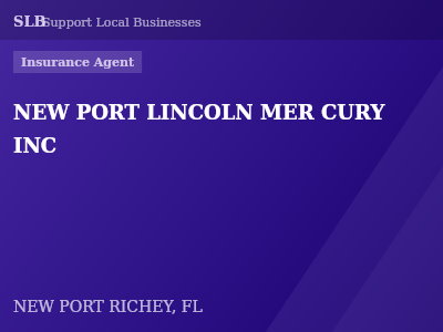 NEW PORT LINCOLN MER CURY INC — Insurance Agent in NEW PORT RICHEY, FL
