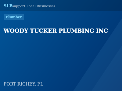 WOODY TUCKER PLUMBING INC — Plumber in PORT RICHEY, FL