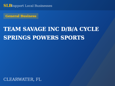 TEAM SAVAGE INC D/B/A CYCLE SPRINGS POWERS SPORTS — General Business in CLEARWATER, FL
