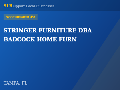STRINGER FURNITURE DBA BADCOCK HOME FURN — Accountant/CPA in TAMPA, FL