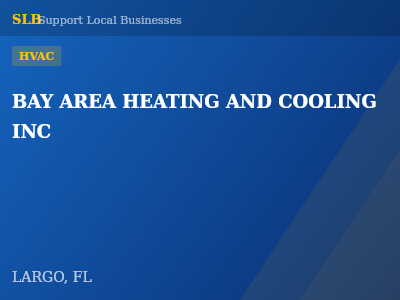 BAY AREA HEATING AND COOLING INC — HVAC in LARGO, FL