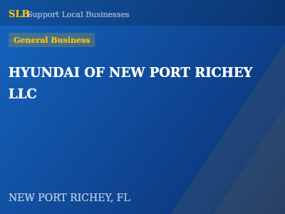 HYUNDAI OF NEW PORT RICHEY LLC — General Business in NEW PORT RICHEY, FL
