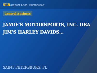 JAMIE'S MOTORSPORTS, INC. DBA JIM'S HARLEY DAVIDSON OF ST.PETERSBURG — General Business in SAINT PETERSBURG, FL