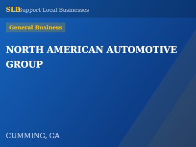 NORTH AMERICAN AUTOMOTIVE GROUP — General Business in CUMMING, GA