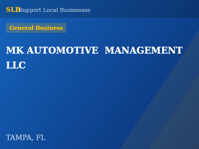 MK AUTOMOTIVE  MANAGEMENT LLC — General Business in TAMPA, FL