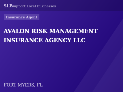 AVALON RISK MANAGEMENT INSURANCE AGENCY LLC — Insurance Agent in FORT MYERS, FL