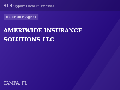 AMERIWIDE INSURANCE SOLUTIONS LLC — Insurance Agent in TAMPA, FL
