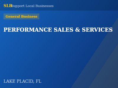 PERFORMANCE SALES & SERVICES — General Business in LAKE PLACID, FL