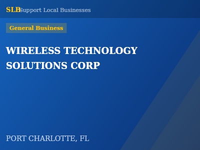 WIRELESS TECHNOLOGY SOLUTIONS CORP — General Business in PORT CHARLOTTE, FL