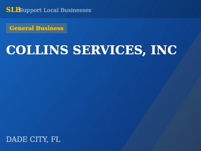 COLLINS SERVICES, INC — General Business in DADE CITY, FL