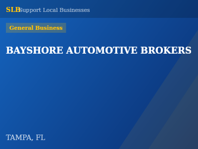 BAYSHORE AUTOMOTIVE BROKERS — General Business in TAMPA, FL
