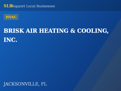 BRISK AIR HEATING & COOLING, INC. — HVAC in JACKSONVILLE, FL