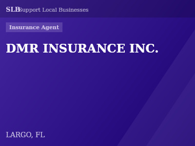 DMR INSURANCE INC. — Insurance Agent in LARGO, FL