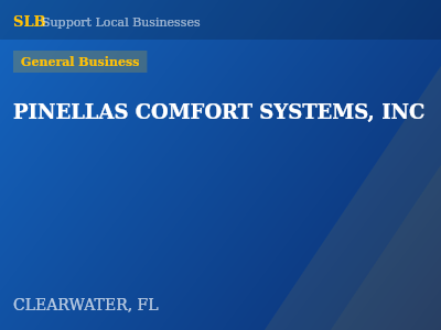 PINELLAS COMFORT SYSTEMS, INC — General Business in CLEARWATER, FL
