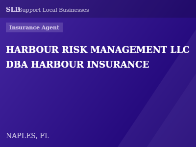 HARBOUR RISK MANAGEMENT LLC DBA HARBOUR INSURANCE — Insurance Agent in NAPLES, FL