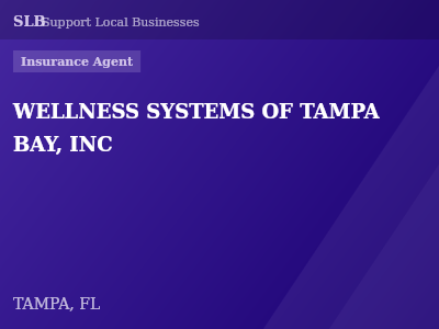 WELLNESS SYSTEMS OF TAMPA BAY, INC — Insurance Agent in TAMPA, FL
