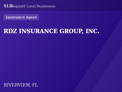 RDZ INSURANCE GROUP, INC. — Insurance Agent in RIVERVIEW, FL
