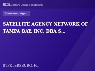 SATELLITE AGENCY NETWORK OF TAMPA BAY, INC. DBA SAN OF FLORIDA — Insurance Agent in STPETERSBURG, FL
