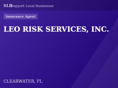 LEO RISK SERVICES, INC. — Insurance Agent in CLEARWATER, FL