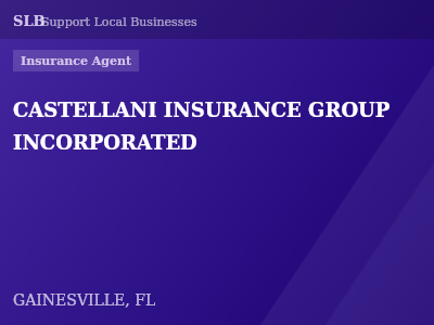 CASTELLANI INSURANCE GROUP INCORPORATED — Insurance Agent in GAINESVILLE, FL