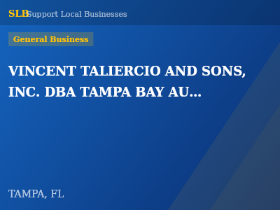 VINCENT TALIERCIO AND SONS, INC. DBA TAMPA BAY AUTONETWORK — General Business in TAMPA, FL