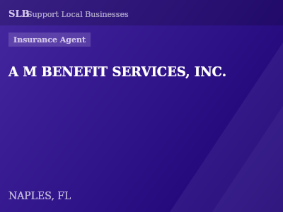 A M BENEFIT SERVICES, INC. — Insurance Agent in NAPLES, FL