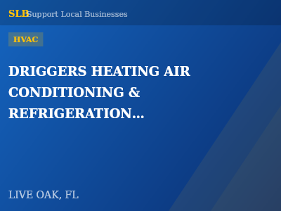 DRIGGERS HEATING AIR CONDITIONING & REFRIGERATION INC. — HVAC in LIVE OAK, FL