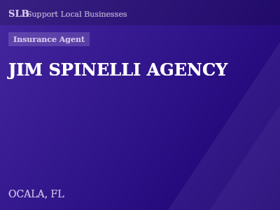 JIM SPINELLI AGENCY — Insurance Agent in OCALA, FL