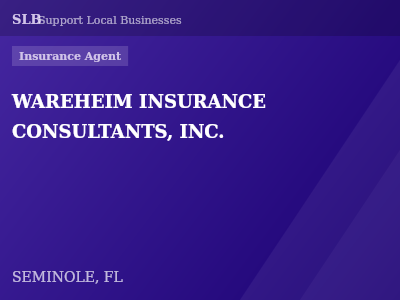 WAREHEIM INSURANCE CONSULTANTS, INC. — Insurance Agent in SEMINOLE, FL