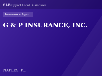G & P INSURANCE, INC. — Insurance Agent in NAPLES, FL