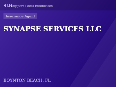 SYNAPSE SERVICES LLC — Insurance Agent in BOYNTON BEACH, FL