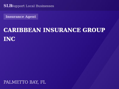 CARIBBEAN INSURANCE GROUP INC — Insurance Agent in PALMETTO BAY, FL