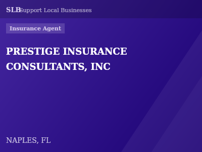PRESTIGE INSURANCE CONSULTANTS, INC — Insurance Agent in NAPLES, FL