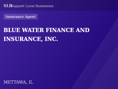 BLUE WATER FINANCE AND INSURANCE, INC. — Insurance Agent in METTAWA, IL