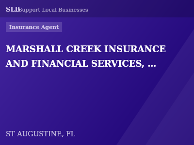 MARSHALL CREEK INSURANCE AND FINANCIAL SERVICES, INC — Insurance Agent in ST AUGUSTINE, FL