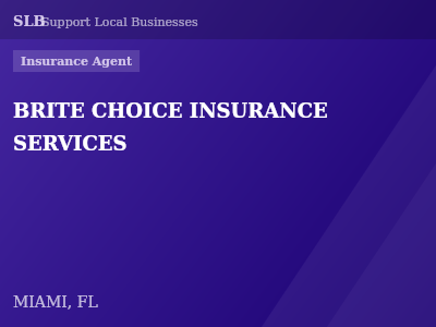 BRITE CHOICE INSURANCE SERVICES — Insurance Agent in MIAMI, FL