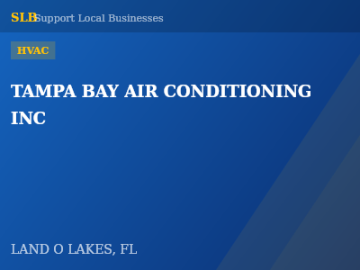 TAMPA BAY AIR CONDITIONING INC — HVAC in LAND O LAKES, FL