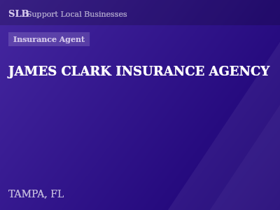 JAMES CLARK INSURANCE AGENCY — Insurance Agent in TAMPA, FL